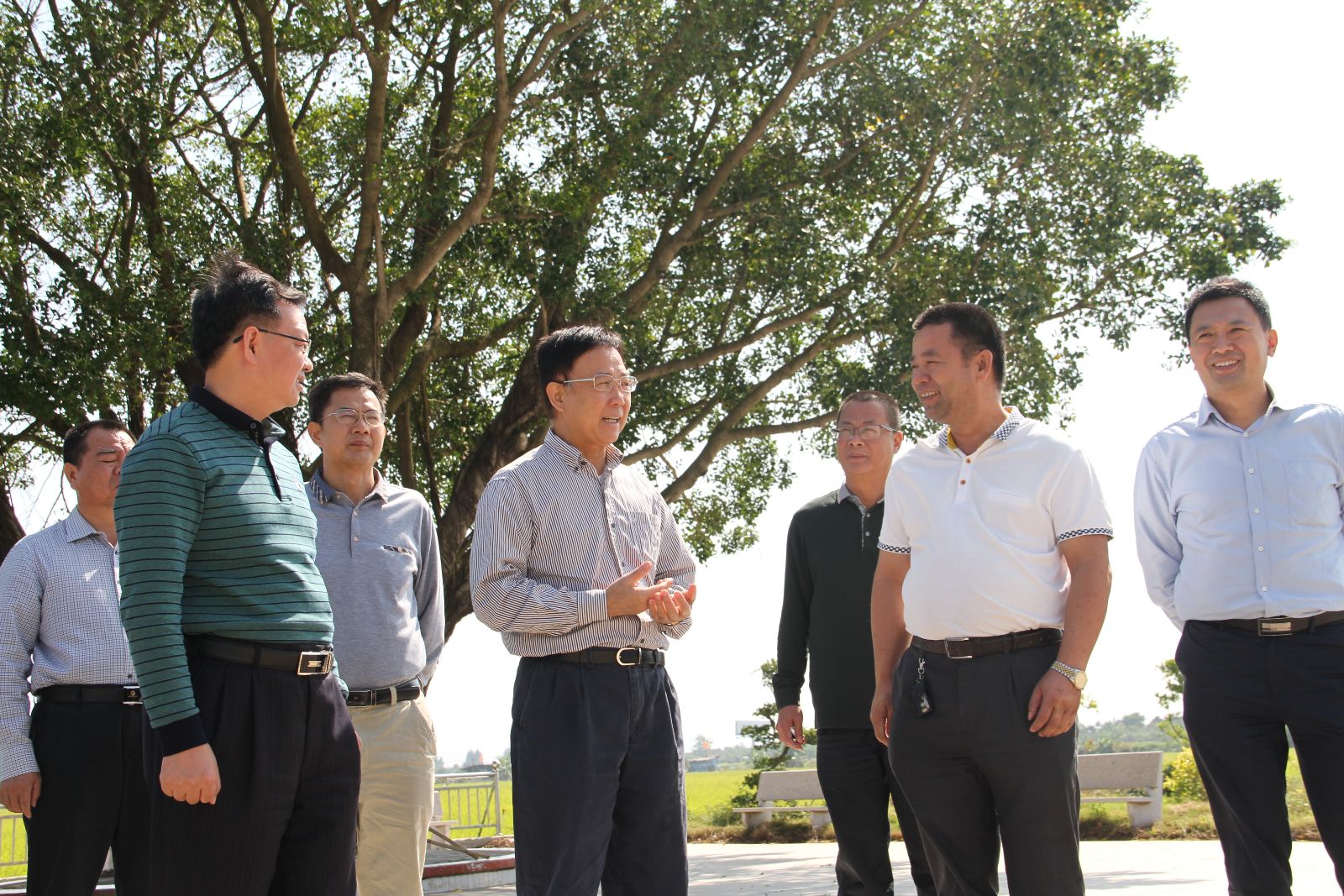 陈少平,叶长一行到汕尾垦区